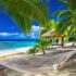Hammock between palm trees on tropical beach of Rarotonga, Cook