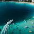 Aerial picture of the east coast of Mauritius Island. Beautiful lagoon of Mauritius Island shot from