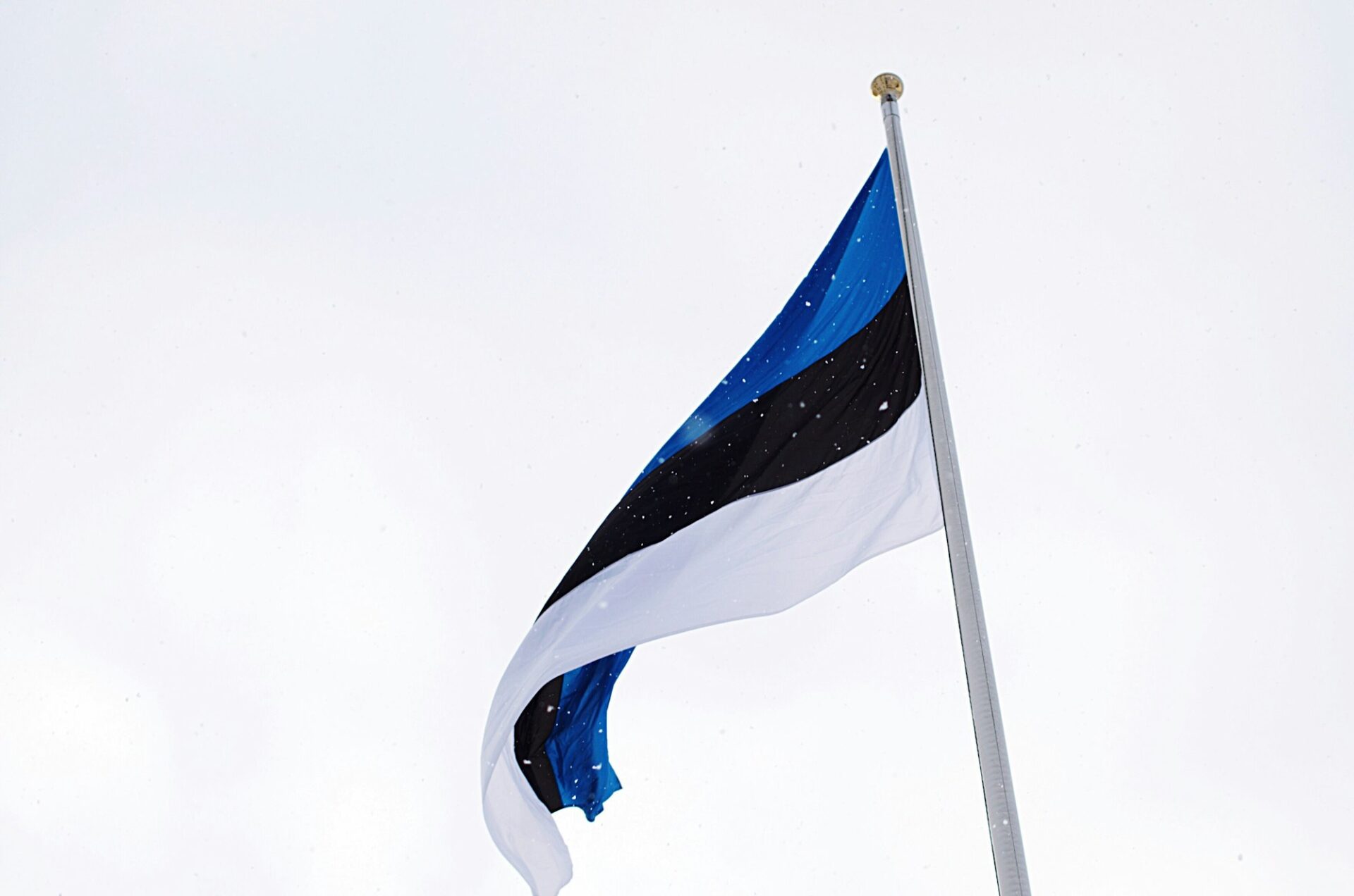 Estonian flag fluttering in a snowfall.