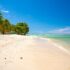 Tobago cays in St-Vincent and the Grenadines in the Caribbean islands