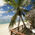 Beach huts and palm trees, Cook Islands