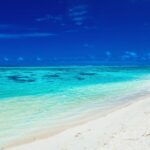Sandy beach with rocks and palms on Cook Islands, Rarotonga