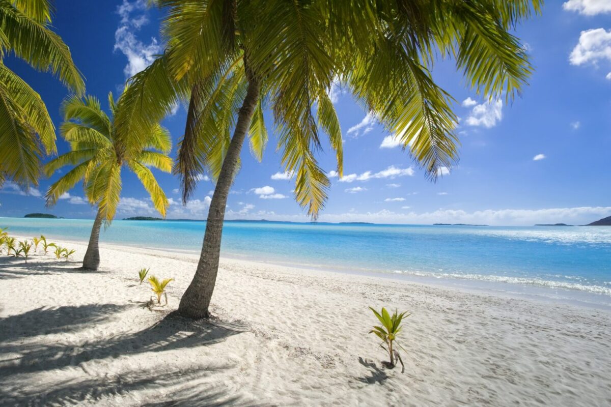 A Guide to Offshore Trust and International LLC ‘s