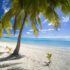 Tropical Beach - Cook Islands