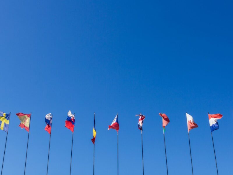 Flag Theory: The Ultimate Strategy for Personal Freedom, Wealth Protection, and Global Mobility